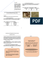 Study of Soil-italian