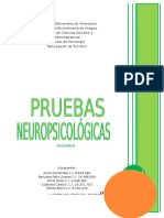 Resumen - Pruebas Neuropsicológicas