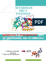 Tema 4 - Metabolismo y Enzimas