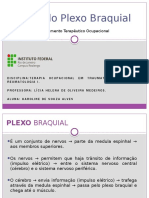 Terapia Ocupacional no Tratamento da Lesão do Plexo Braquial