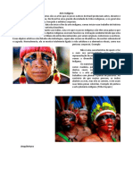 Arte Indigena.pdf