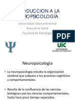 introduccicionneuropsicologiada (2)