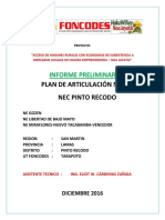 Informe Preliminar Plan Articulacion Nec Pinto Recodo