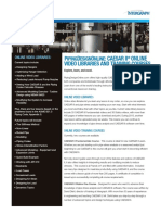 PipingDesignOnline.pdf