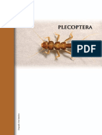 Plecoptera PDF