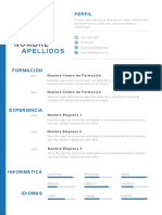 Plantilla Curriculum Vitae 8