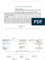 Técnica y Diagrama de Flujo Leche Psicodélica