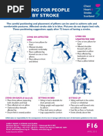 Daily Patient Repositioning Chart | PDF