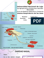 CRISTINA RUIZ-3B-Sistema Respiratorio de Las Aves