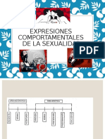 Expresiones Comportamentales