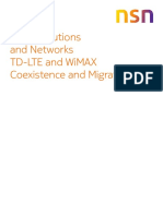 nsn_wimax_lte_co-existence_and_migration_white_paper.pdf