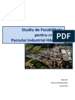 Studiu de fazabilitate RM.pdf