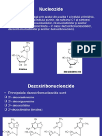 11nucleotide Acizi Nucleici 2013