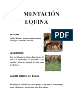 Alimentación Equina