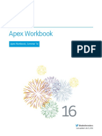 Apex Workbook