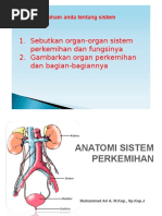 Anatomi Sistem Perkemihan