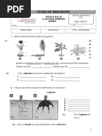 FICHA DE AVALIAÇÃO