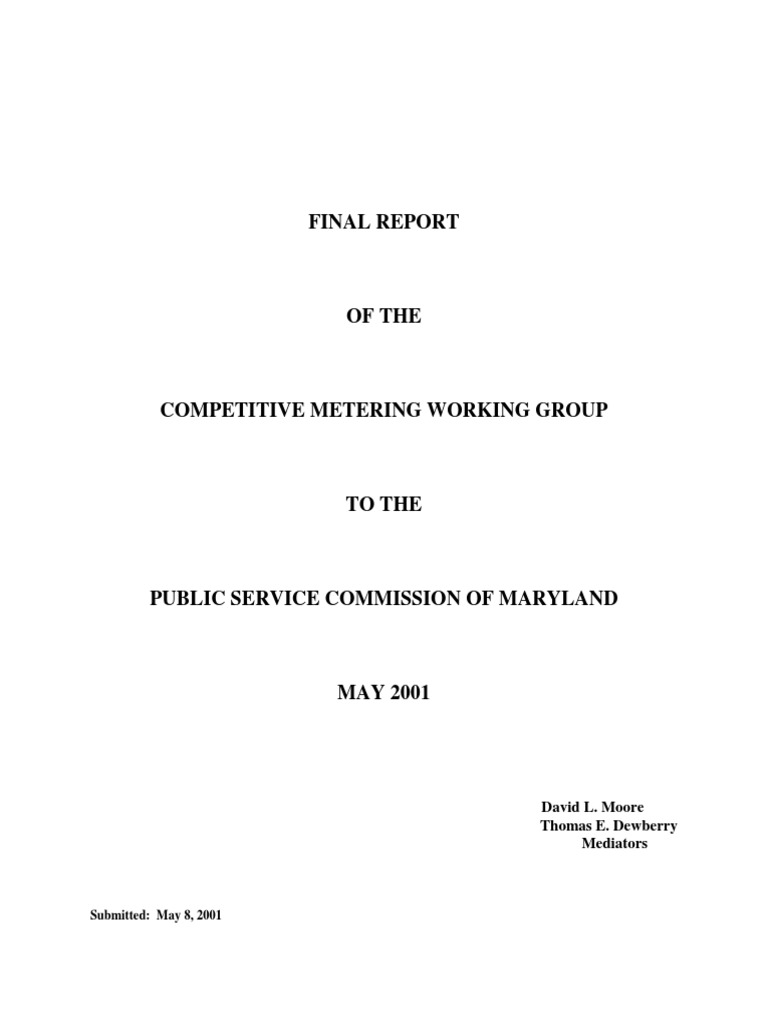 Final Report Competitive Metering Working Group 200104 | PDF | Supply ...