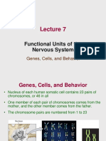 Lecture 7 - Functional Units of The NS 3