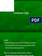 Anatomi-Gigi.pdf
