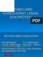 11 METABOLISME Karbohidrat Lemak Protein