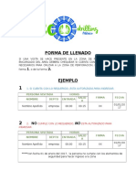 FORMA DE LLENADO.docx