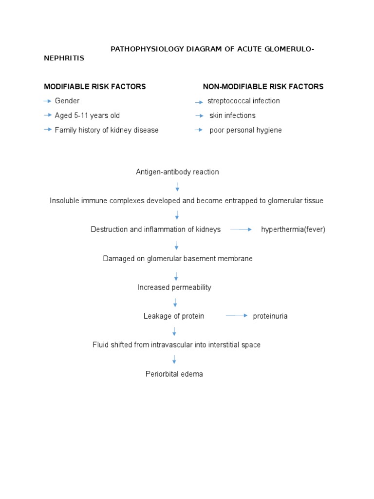 Acute Glomerulonephritis Pathophysiology | PDF