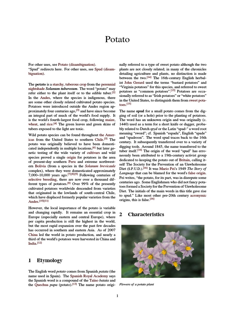 The origin of the potato Potato Food And Drink