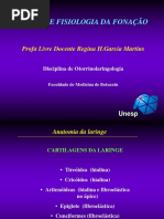 Anatomia e Fisiologia Da Fonacao