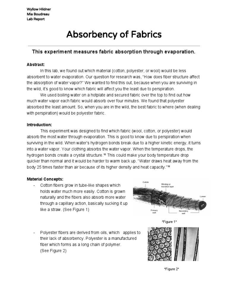 Absorbancylab 1 Report | PDF | Wellness