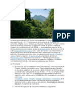 La Reserva de La Biosfera El Triunfo Fue Decretada El 13 de Marzo de 1990