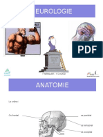 neurologie pp.ppt