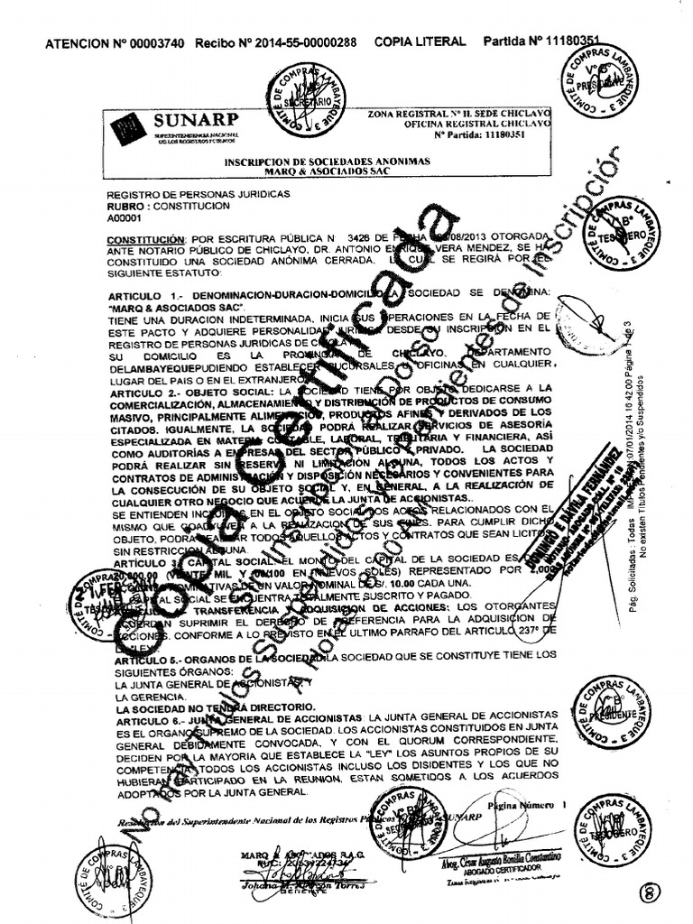 06 Copia Partida Registral De La Empresa