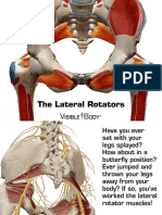 Lateral_Rotators_030714.pdf