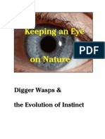 VIGNETTES Digger Wasps and the Evolution of Instinct