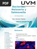 Micro II Neisseria y Salmonella