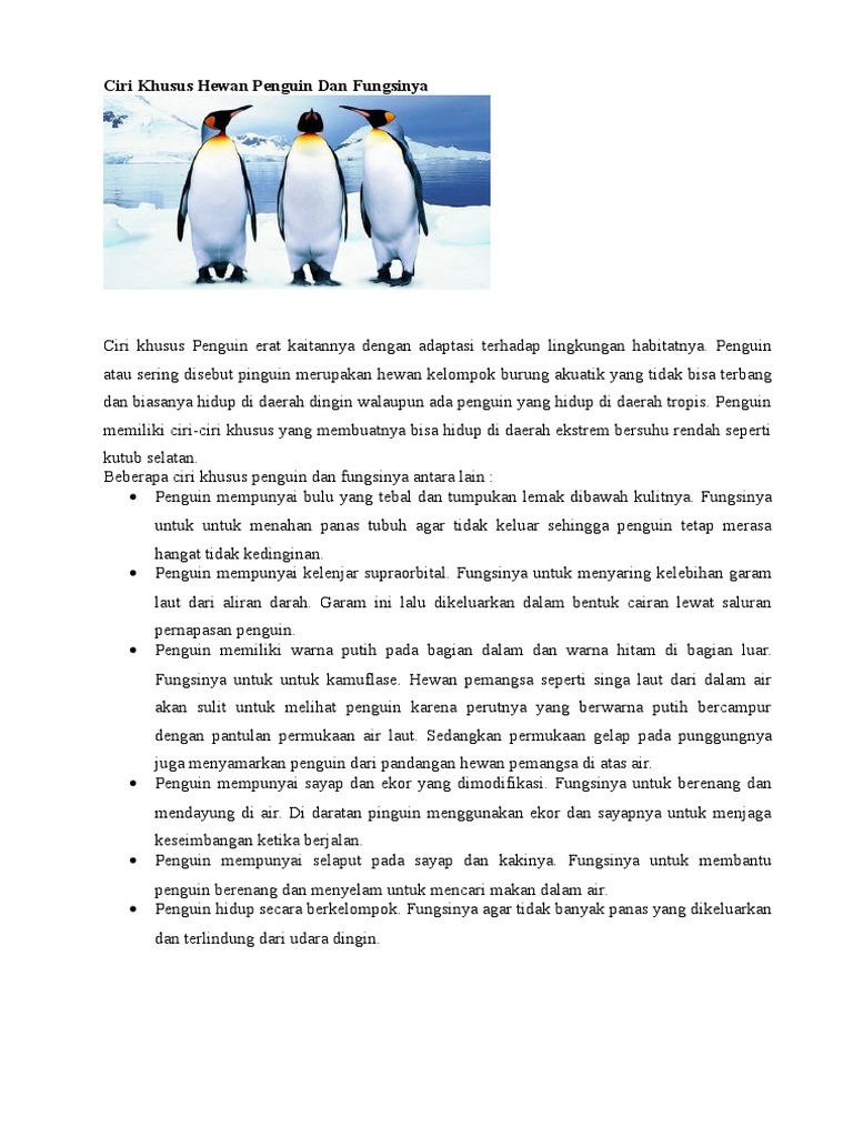  Ciri  Khusus  Hewan Penguin  Dan Fungsinya PDF