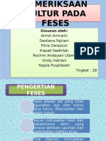 Pemeriksaan Feses