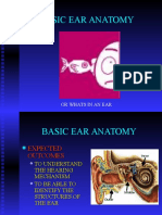 Basic Ear Anatomy: or Whats in An Ear