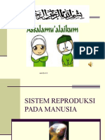 Kespro Sistem Reproduksi Manusia