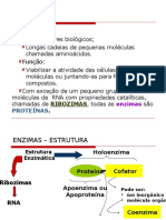 Enzimas: definição, função, estrutura, classificação e cinética