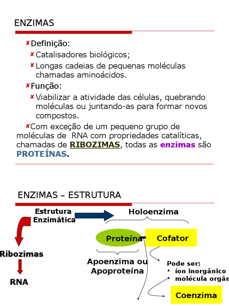 Enzimas: Estrutura e Função | PDF | Cinética enzimática | Enzima, image size:768x1024