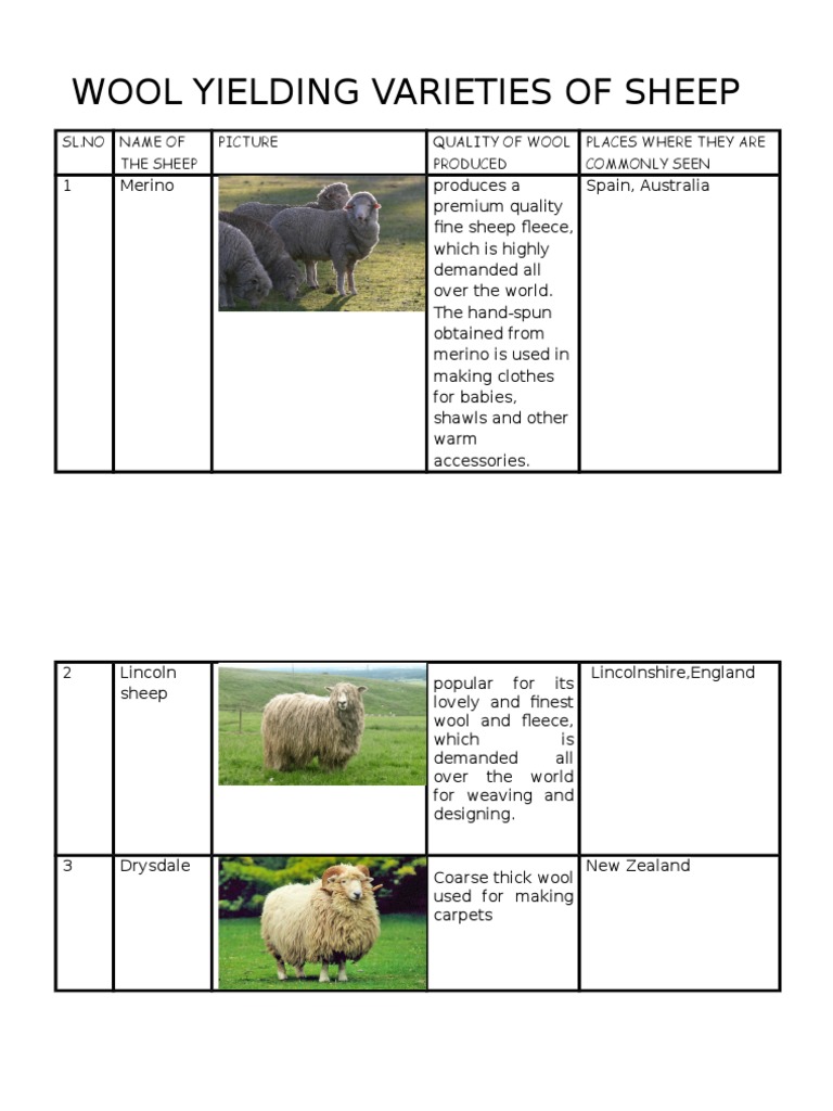 Wool Yielding Varieties of Sheep | PDF | Wool | Carpet, image size:768x1024