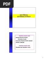 T8 Bact. de Parede Atípica
