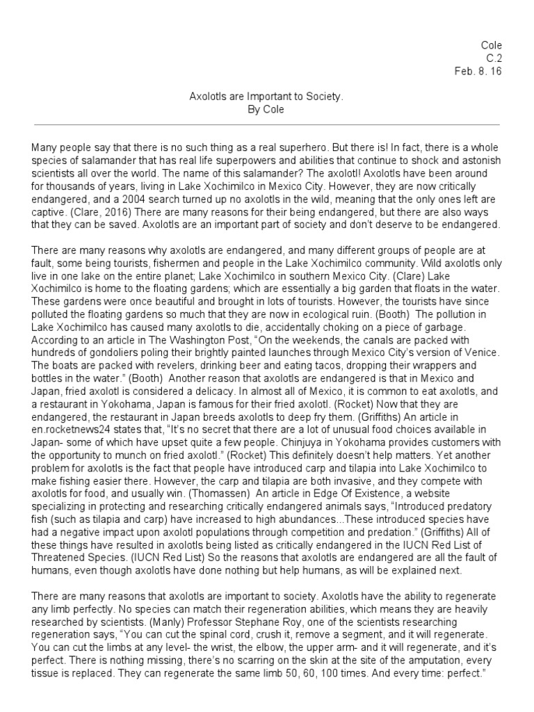 Biographical essay example image