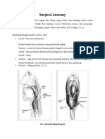 Surgical Anatomy.docx