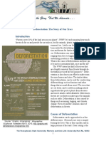deforestation pdf