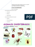 Invertebrados: Clasificación y características de animales sin columna vertebral