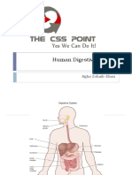 Human Digestive System Class Lecture