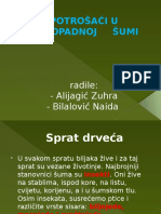 Potrošači U Listopadnoj Šumi